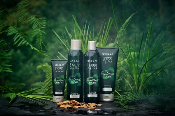 The Wild Forest Lodge