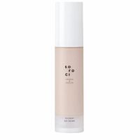 SOROCI Recovery BB Cream 