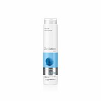 ERAYBA Zen Active Z12P Purifying Shampoo