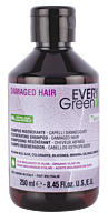EVERY GREEN Restructurizing Shampoo - Damaged Hair  