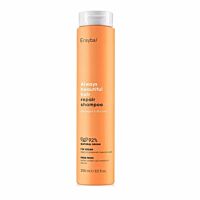 ERAYBA Abh Repair Shampoo