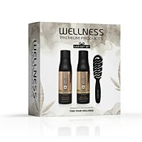 КОМПЛЕКТ WELLNESS PREMIUM PRODUCTS Wellplex Set