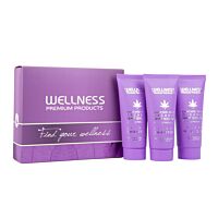 КОМПЛЕКТ WELLNESS PREMIUM PRODUCTS Silver Mini Kit