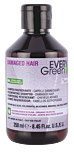 EVERY GREEN Restructurizing Shampoo - Damaged Hair  