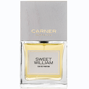 CARNER BARCELONA Sweet William