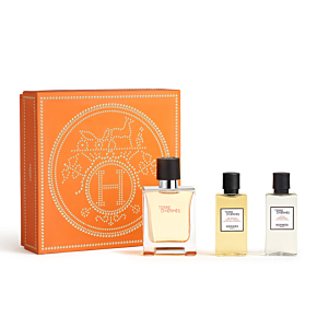 КОМПЛЕКТ HERMES Terre D Hermes Eau de Toilette Shower Gel Travel Spray After Shave