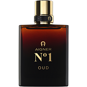 Aingner N1 Oud
