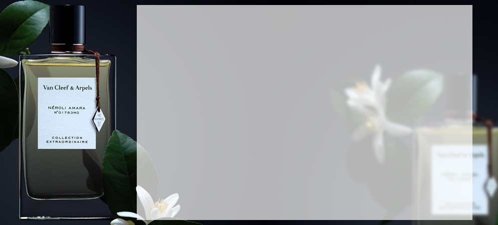 Van Cleef
