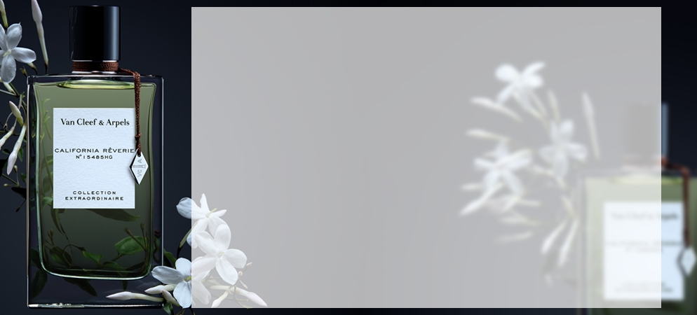 Van Cleef